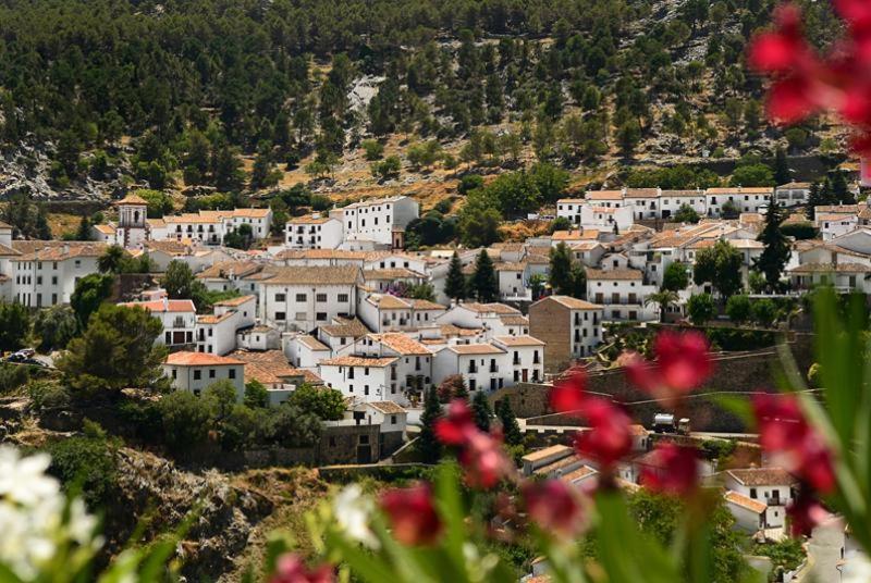 La Casa De La Abuela Regina Lägenhet Grazalema Exteriör bild